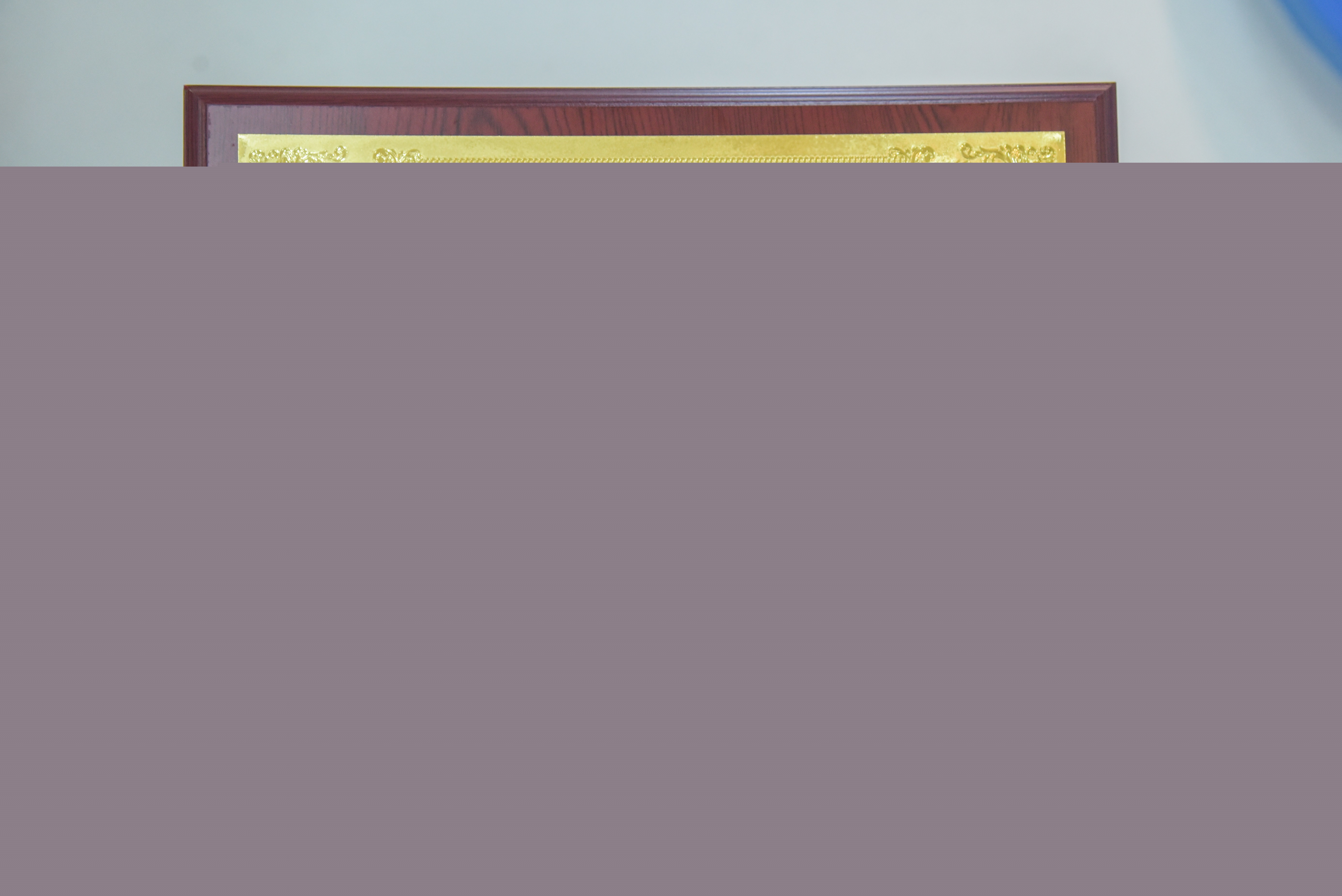 媽媽身邊的育嬰顧問——愛親母嬰再次斬獲服務(wù)類大獎.jpg 媽媽身邊的育嬰顧問——愛親母嬰再次斬獲服務(wù)類大獎.jpg