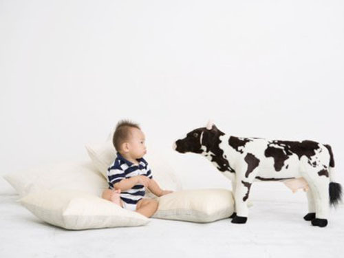 國內(nèi)的奶粉行業(yè)也存在一些亟待解決的問題。