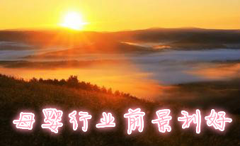 母嬰行業(yè)前景