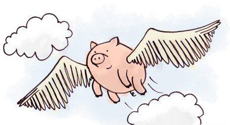 二胎政策將是母嬰行業(yè)的一個新風口，雷軍曾說：“站在風口上，豬都能飛”。