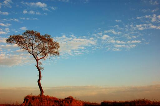 社會的發(fā)展日異月更，在一個信息高速發(fā)展的時代，母嬰加盟店能否長久立足