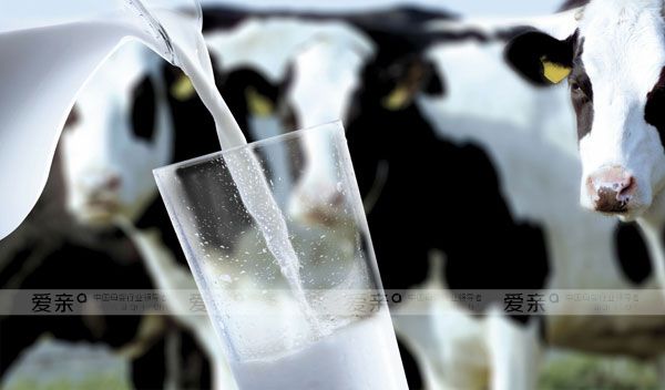 乳制品價格持續(xù)波動，企業(yè)應(yīng)做好風(fēng)險預(yù)估