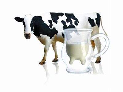 消費(fèi)者不信賴國(guó)產(chǎn)牛奶，時(shí)隔多年，現(xiàn)在的國(guó)產(chǎn)牛奶是一個(gè)什么水平呢？